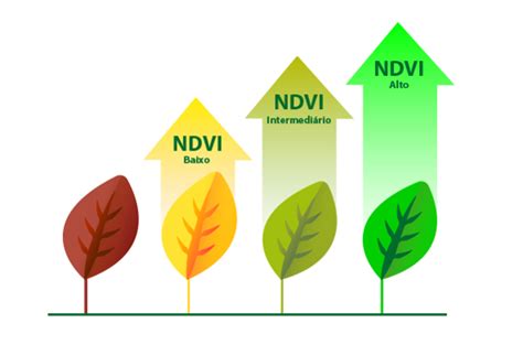 APLICAÇÃO DE SENSORIAMENTO REMOTO ASSOCIADO AO NDVI