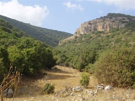 Mount Carmel National Park