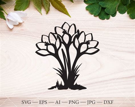 Silhouette Spring Flowers Svg Crocus Flower Svg Cricut Die Cut Flower