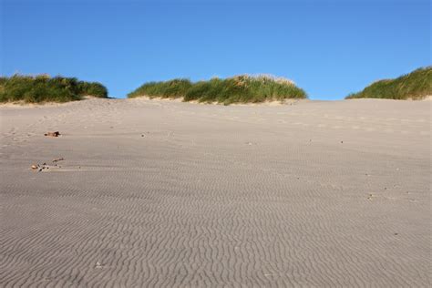 Oregon Coast Singing Sands to Booming, Squeaking Sands: How to and ...