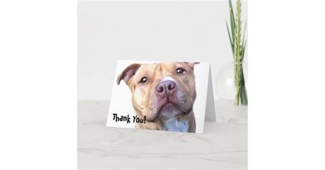 Thank You Pitbull Greeting Card Zazzle