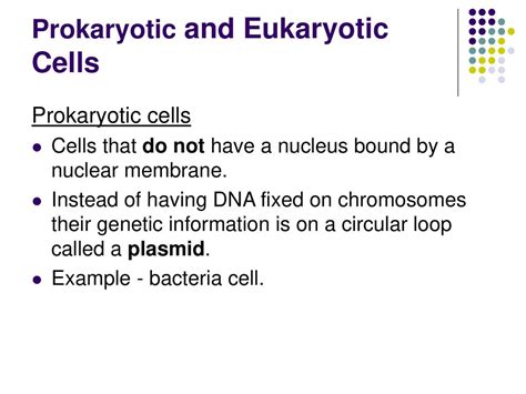 cell structure  microscope