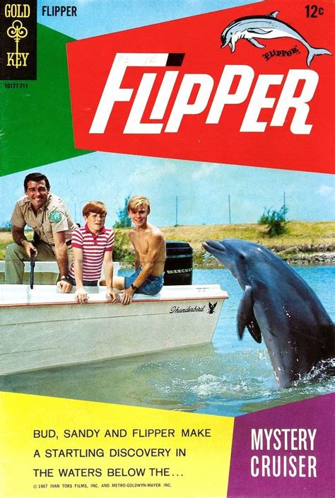 Flipper 1964 Tv Series 1000 Images About Luke Halpin On Pinterest