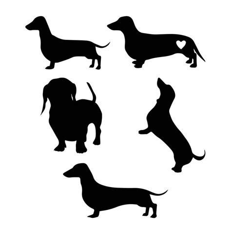 Dachshund Silhouette Vector at Vectorified.com | Collection of ...