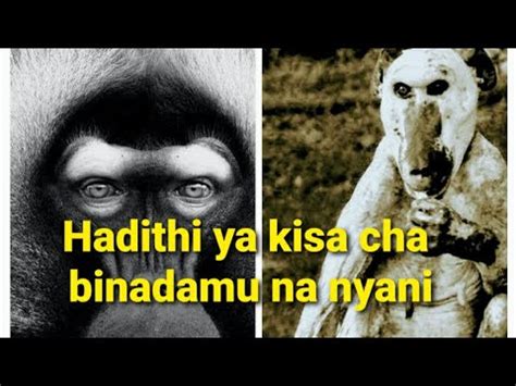 Hadithi Ya Kisa Cha Utofauti Wa Nyani Na Binadamu Hadithi Za Kiswahili