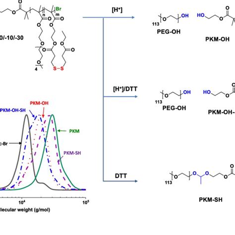 Schematic Illustration Of Dual Acidic Ph Reduction Responsive