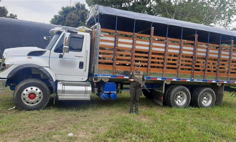 Incautados Semovientes En La V A Nacional Puerto Lleras San Jos Del