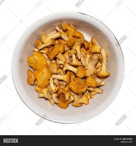 Chanterelle Mushrooms Image & Photo (Free Trial) | Bigstock