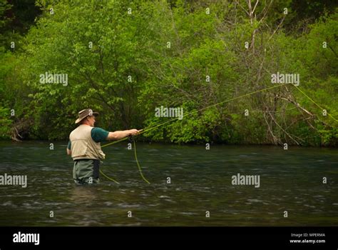 Fly Fishing Metolius Wild And Scenic River Deschutes National Forest