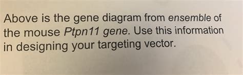 Draw A Concisely Annotated Diagram Of A Linearized Chegg