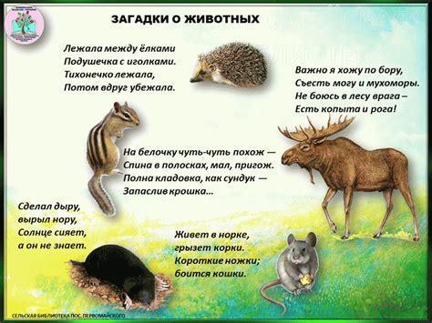 Загадки о природе 3 класс