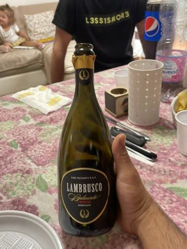 Il Baluardo Abboccato Lambrusco Di Modena Vivino