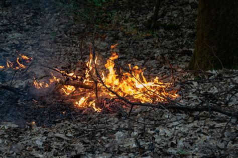 Erneute Waldbr Nde Halten Feuerwehr Und Polizei In Atem