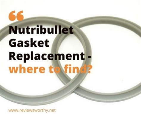 Nutribullet Gasket Replacement - Where to Find Them!