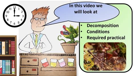 Gcse Biology Decomposition Revision Youtube