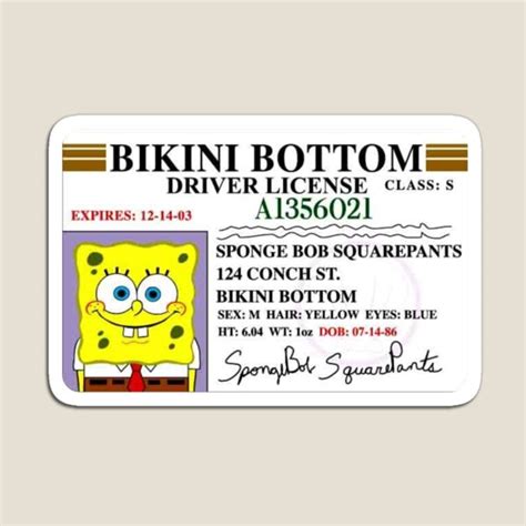 Spongebob Bikini Bottom Driver S License Magnet For Sale By Aaronvalentinus Redbubble