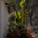 Anna Juliana Jaenner Nude Onlyfans Leaks Fappening Fappeningbook