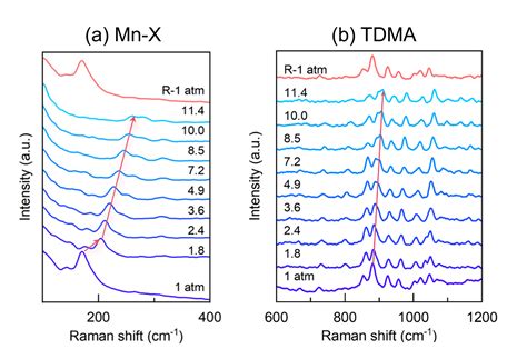 High Pressure Raman Microscopy to Study Materials Properties