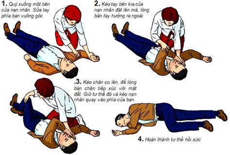 Kỹ Thuật Cpr Hồi Sức Tim Phổi Saigonscouts