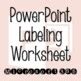 PowerPoint Window Labeling Worksheet By Business With Mrs Evensvold