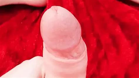 Tanozer Gay Porn Creator Videos Free Amateur Nudes Xhamster