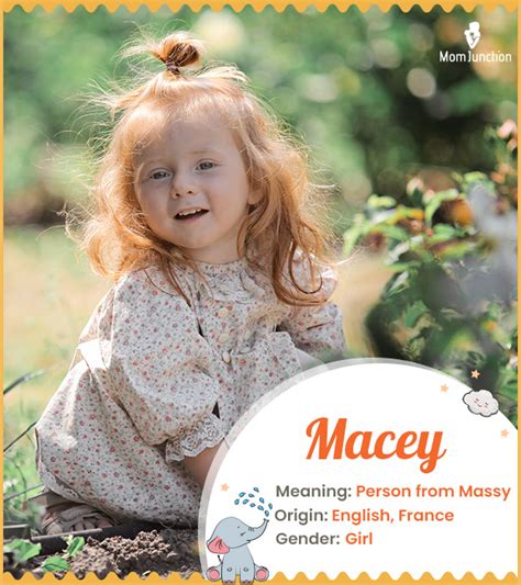 Macey Name Meaning, Origin, History, And Popularity