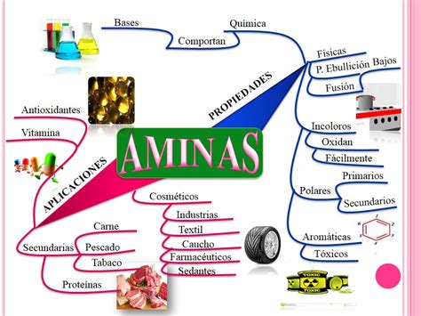 Aminas Grupos Funcionales