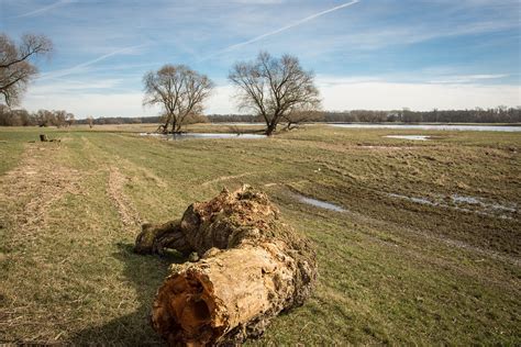 Elbe Elbufer Fluss Kostenloses Foto Auf Pixabay