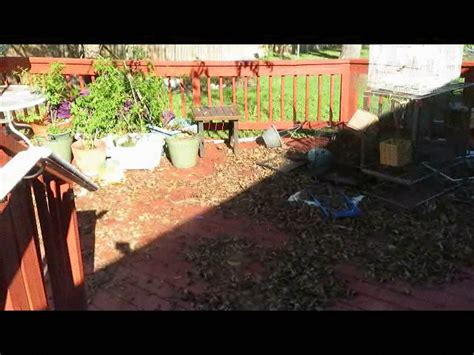 Your Bbw Nurse Vicki Bbw Nurse Vicki Enjoys Eatting A Chocolate Vanilla Ice Cream Popsiscle