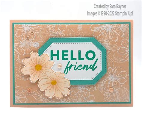 Friendly Hello Stamp Set And DSP