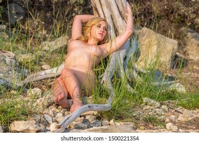 Gorgeous Nude Blonde Model Enjoys Summers Stock Photo Shutterstock