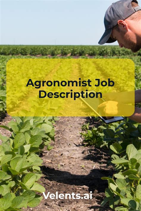 Agronomist Job Description In 2022 Job Description Job Job Description Template