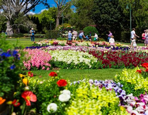 Toowoomba Flower Festival 2018 Parade | Best Flower Site