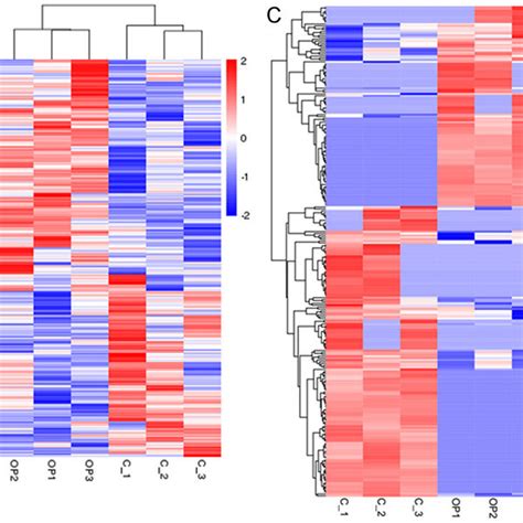 Expression Profiles Of Mrnas Lncrnas Circrnas And Mirnas Download Scientific Diagram