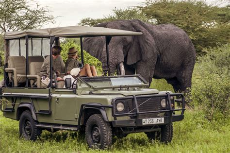 Tanzania Budget Safari And Tours Zepisa African Safaris