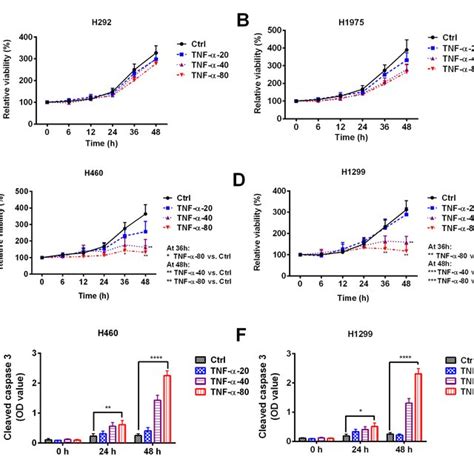 Sensitivity Of Non Small Cell Lung Cancer Cell Lines To Tnf α