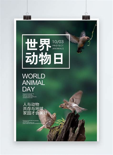 Thousands Of Original World Animal Day Protection Animal Propaga