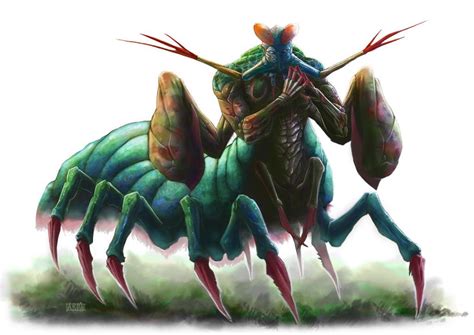 The Mantis Shrimp By Adrianriom On Deviantart Mythische Wezens