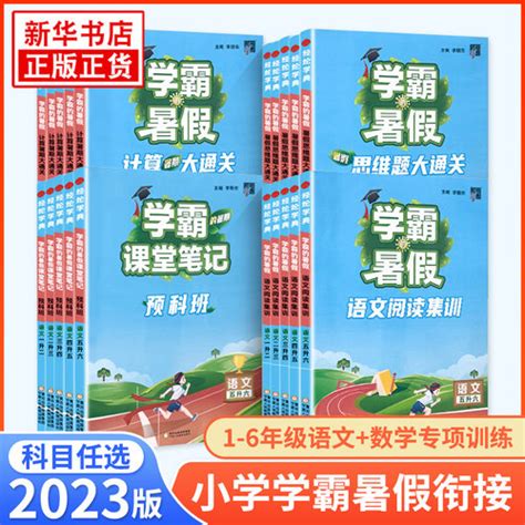 [2023新经纶学典学霸暑假 衔接小学生，暑假作业本一升，二升三升四升五六语文阅读集训预科班课堂笔记数学计算思维题大通关总复习预习书] 轻舟网