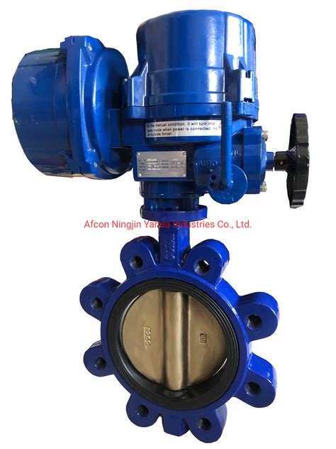 Ductile Cast Iron Lug Type Wafer Butterfly Valve With Flexible Flange