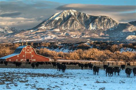 The Largest Ranches in Texas - James Bigley Ranches