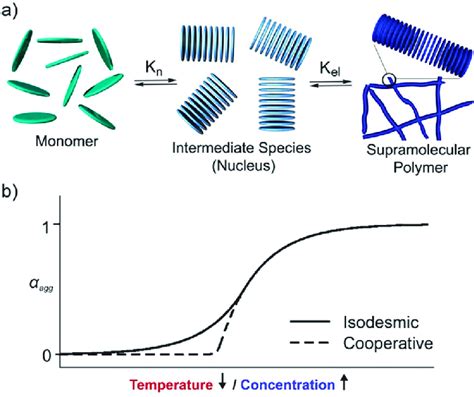 A Schematic Representation Of The Supramolecular Cooperative Growth