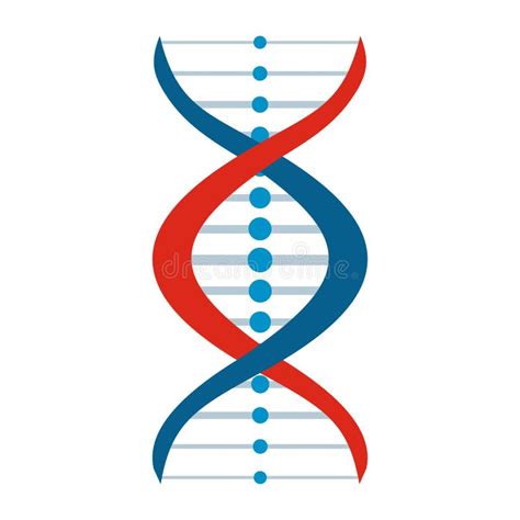 Insieme Del Segno Della Molecola Del DNA Elementi Genetici E Filo