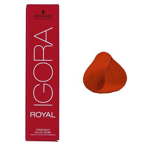 Schwarzkopf Igora Royal Hair Color 8-77 Medium Blonde Natural Extra ...