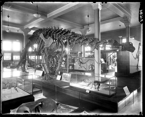 How Dinosaurs Came To New York — The Gotham Center For New York City