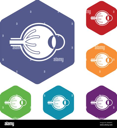 Human Eyeball Icons Set Stock Vector Image And Art Alamy