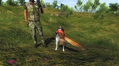 Thehunter Classic On Steam