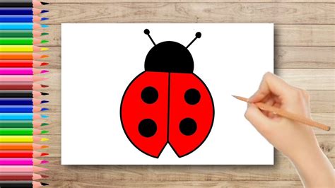 How To Draw Ladybug Ladybug Drawing Easy Ladybug Drawing For Kids