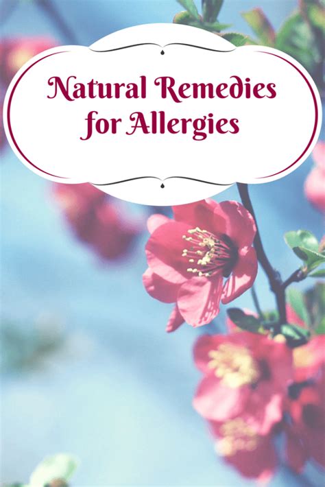 Natural Remedies For Allergies Our Picks