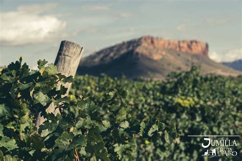 Bodegas Juan Gil Viñas Familia Gil Ruta Del Vino Jumilla